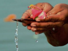 पौष अमावस्या 2026: पितृ दोष मुक्ति के लिए करें ये खास उपाय, जानें दान की चीजें