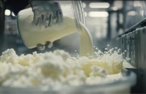 हरियाणा में दूध व्यवसाय को मिलेगा बढ़ावा, सरकार गांव-गांव में बनाएगी नई दुग्ध उत्पादक सोसायटियां