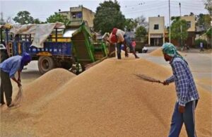हरियाणा में 38 मंडी सचिवों के खिलाफ चार्जशीट दाखिल, वजह जानें