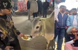 गाय को नॉनवेज मोमोज खिलाने पर हुई मारपीट, आरोपियों के खिलाफ दर्ज हुआ केस