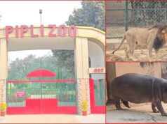 सर्दी से बचाने के लिए चिड़ियाघर में जानवरों के लिए खास इंतजाम