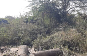 मासूम की हत्या करने के बाद पिंटू ने किया परिवार की मदद का नाटक, CCTV ने किया खुलासा