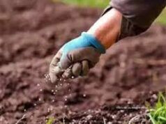 पैक्स बिक्री केंद्रों पर खाद वितरण को लेकर जिम्मेदारी तय