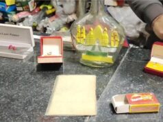 देखते रह जाएंगे! हरियाणा के इस कलाकार ने बेकार चीजों से बनाई ऐसी कलाकृति, मुरीद हुआ पूरा देश